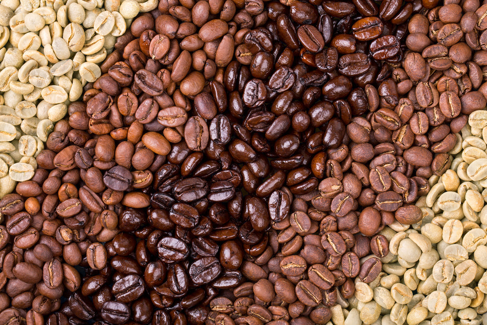 A selection of fresh roasted and unroasted coffee beans arranged in a diagonal stripe pattern.