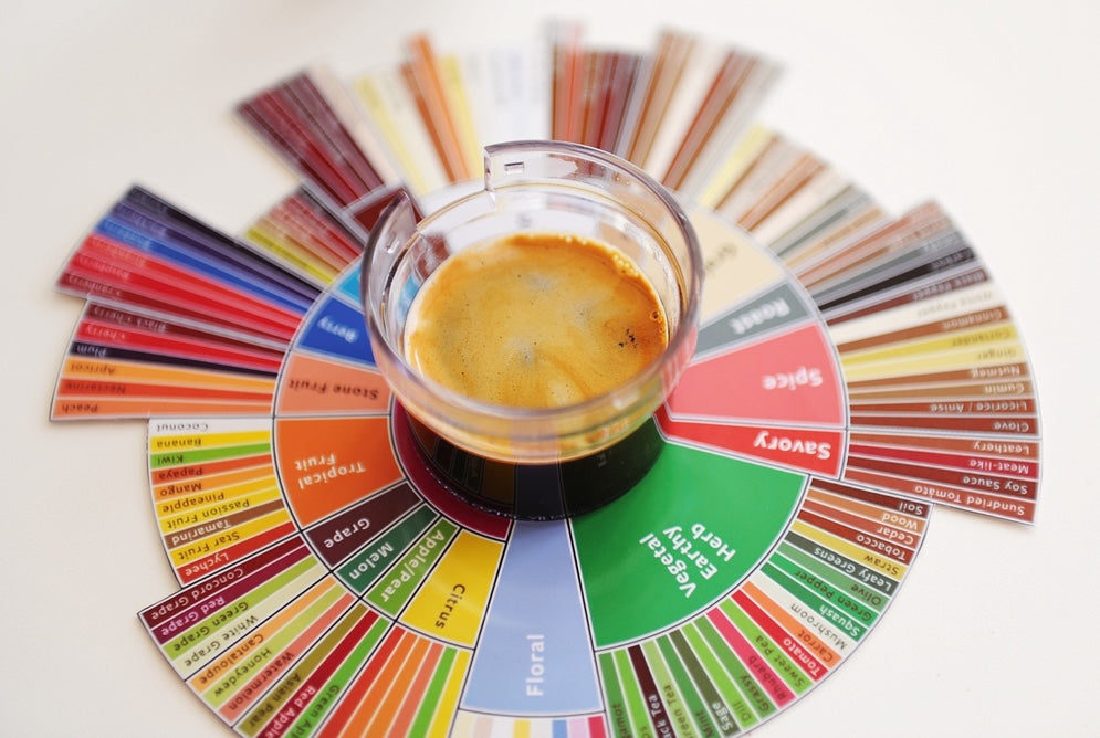 Espresso coffee shot sits on the coffee taster's flavor wheel.