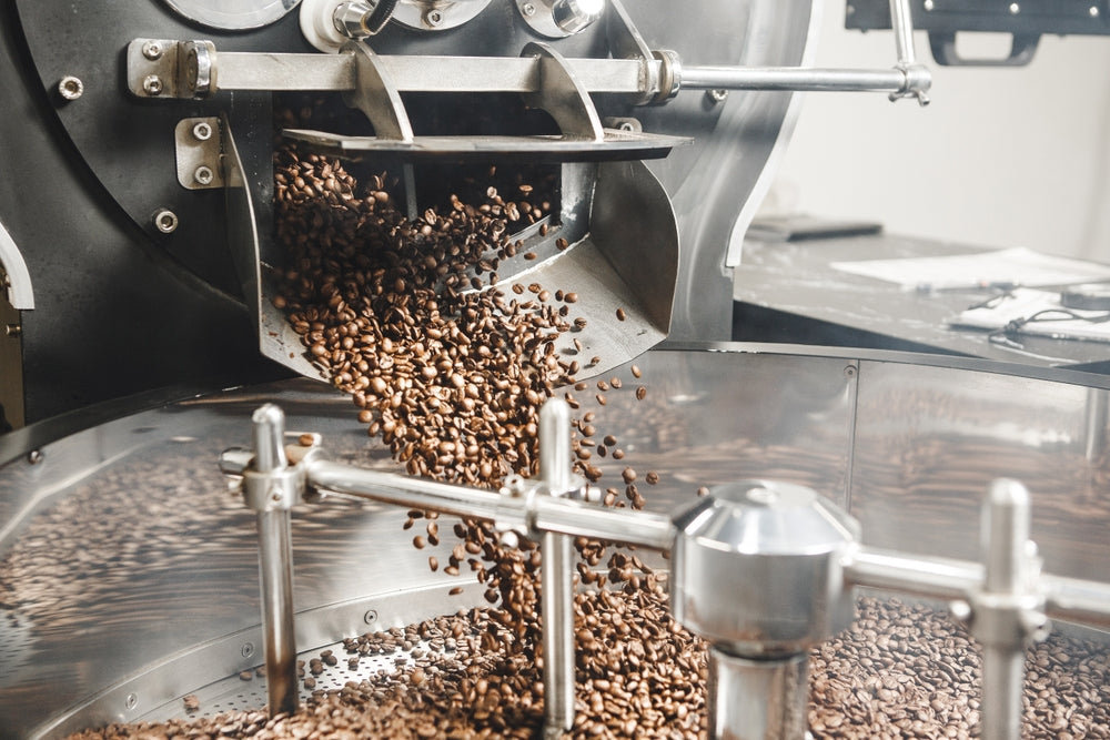 Hot Freshly Roasted Coffee Beans From Roasting Drum pours into cooling tray.