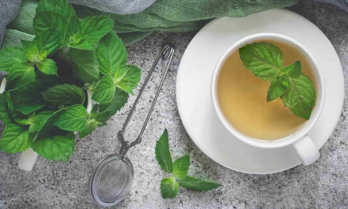 Peppermint tea in a white cup and saucer with sprigs of peppermint and a tea strainer.