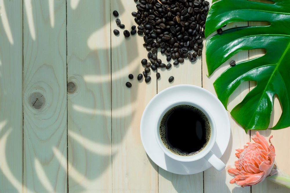 White cup of black Kona coffee and green monstera leaf, Torch ginger flower, coffee seeds on pine wood table.