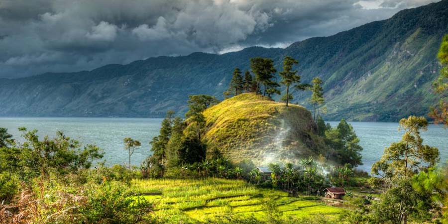 Sumatra Coffee Farm with blue water in the background.