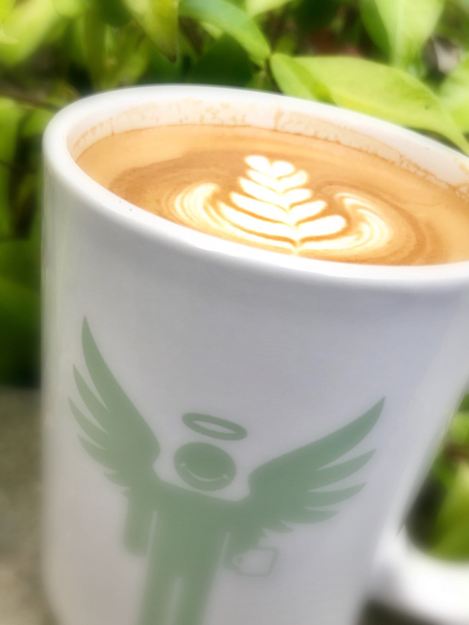 weaverscoffee.com Peaberry Reserve Coffee