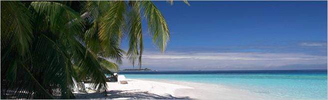 weaverscoffee.com Kona Coffee - Reserve Coffee - White Label Reserve Coffee