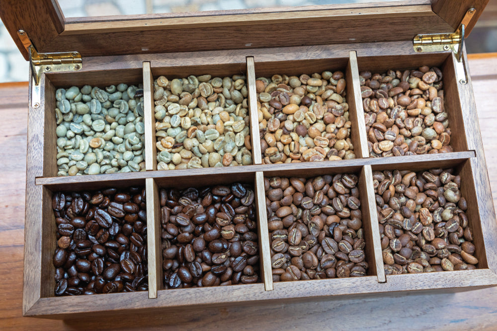 Coffee Beans Roasting Colours in Tray Box.