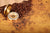 Coffee Beans and Vintage compass on an old world map with a trade and explorer concept.