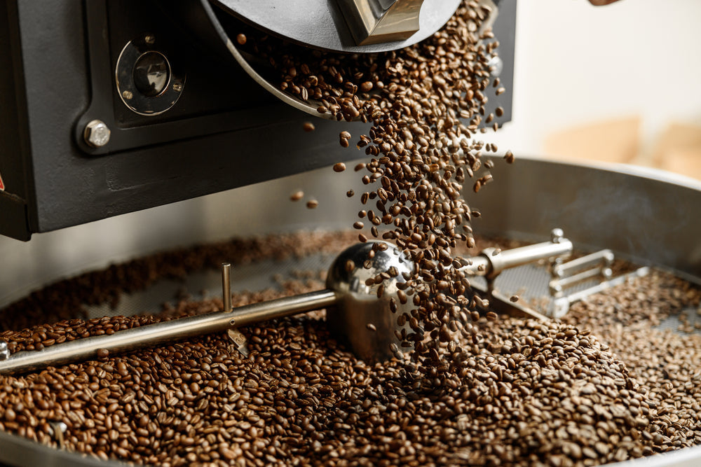 Fresh roasted coffee in the cooling tray of a coffee roaster.