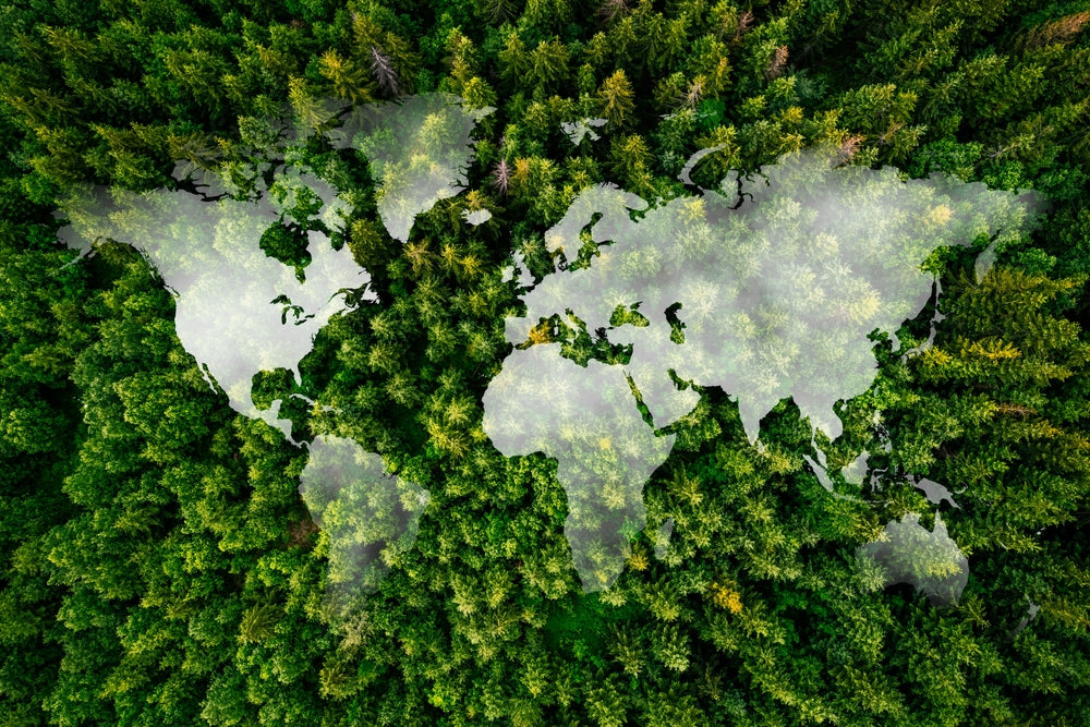 Globalt kort mod et skovomrde med overskyet himmel og et globalt landsbykoncept.