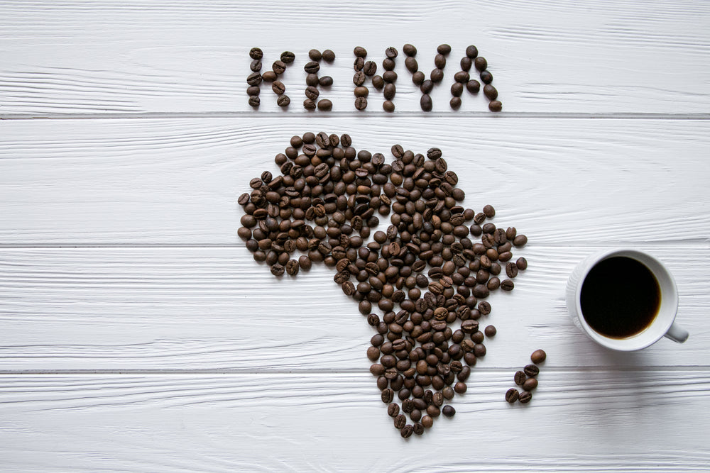 Map of the Africa made of roasted coffee beans laying on white wooden textured background with cup of coffee.