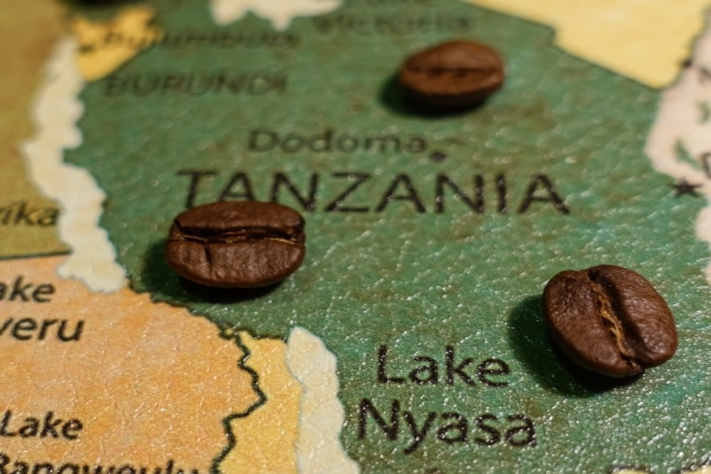 Roasted coffee beans on a map of Tanzania.