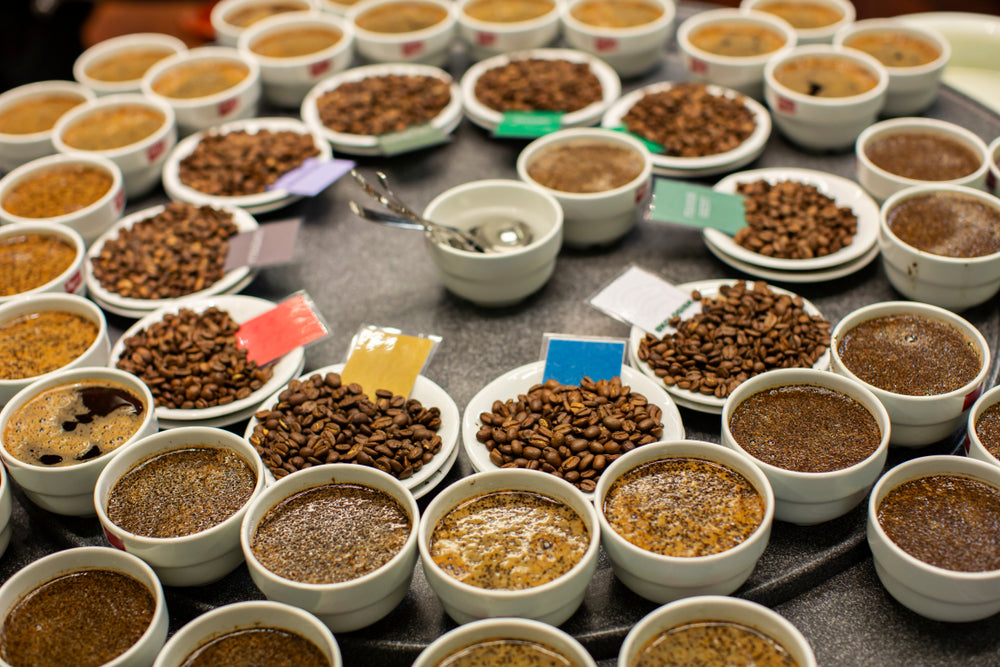 Samples of Freshly Roasted Coffee Beans wait to be tested in the Tasting Room at a Coffee Roastery.
