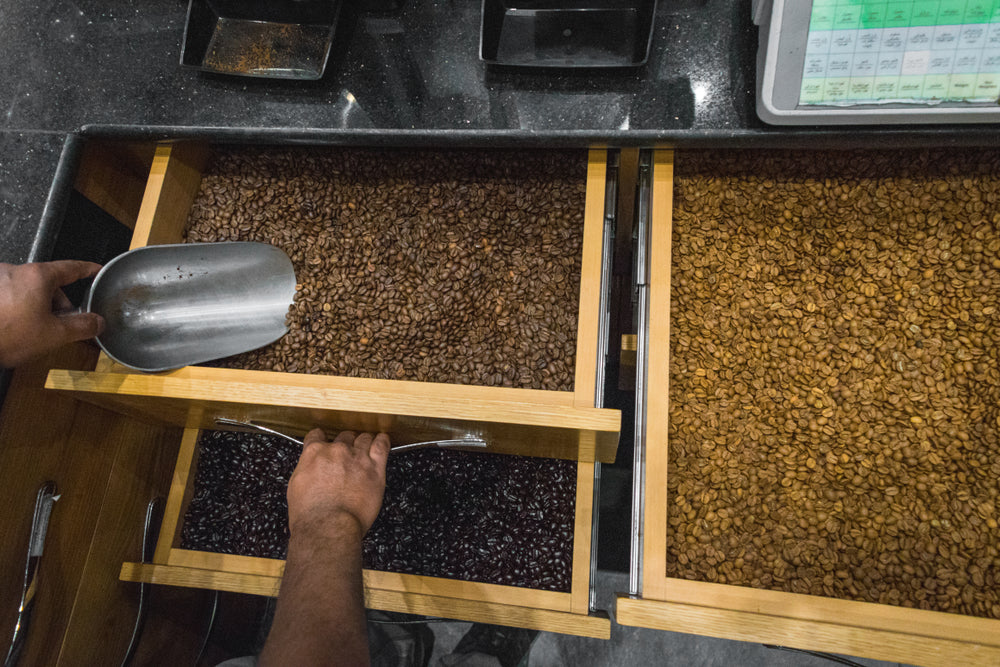 Various types of coffee beans displayed for sale in a coffee roastery.