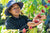 Woman Coffee farmer picking arabica coffee cherries.