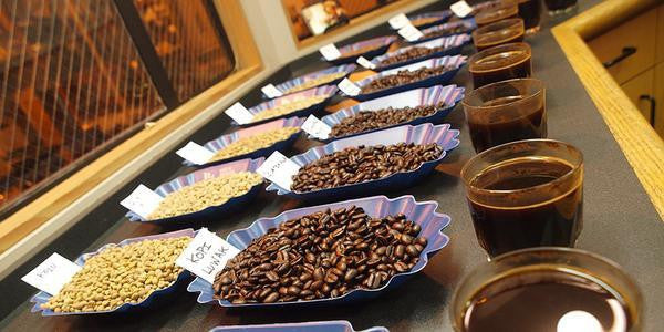 Blue trays of green coffee beans, roasted coffee beans and brewed coffee sitting on a brown and wood trimmed coffee cupping table.