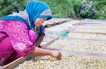 Fair Trade Certified Coffee