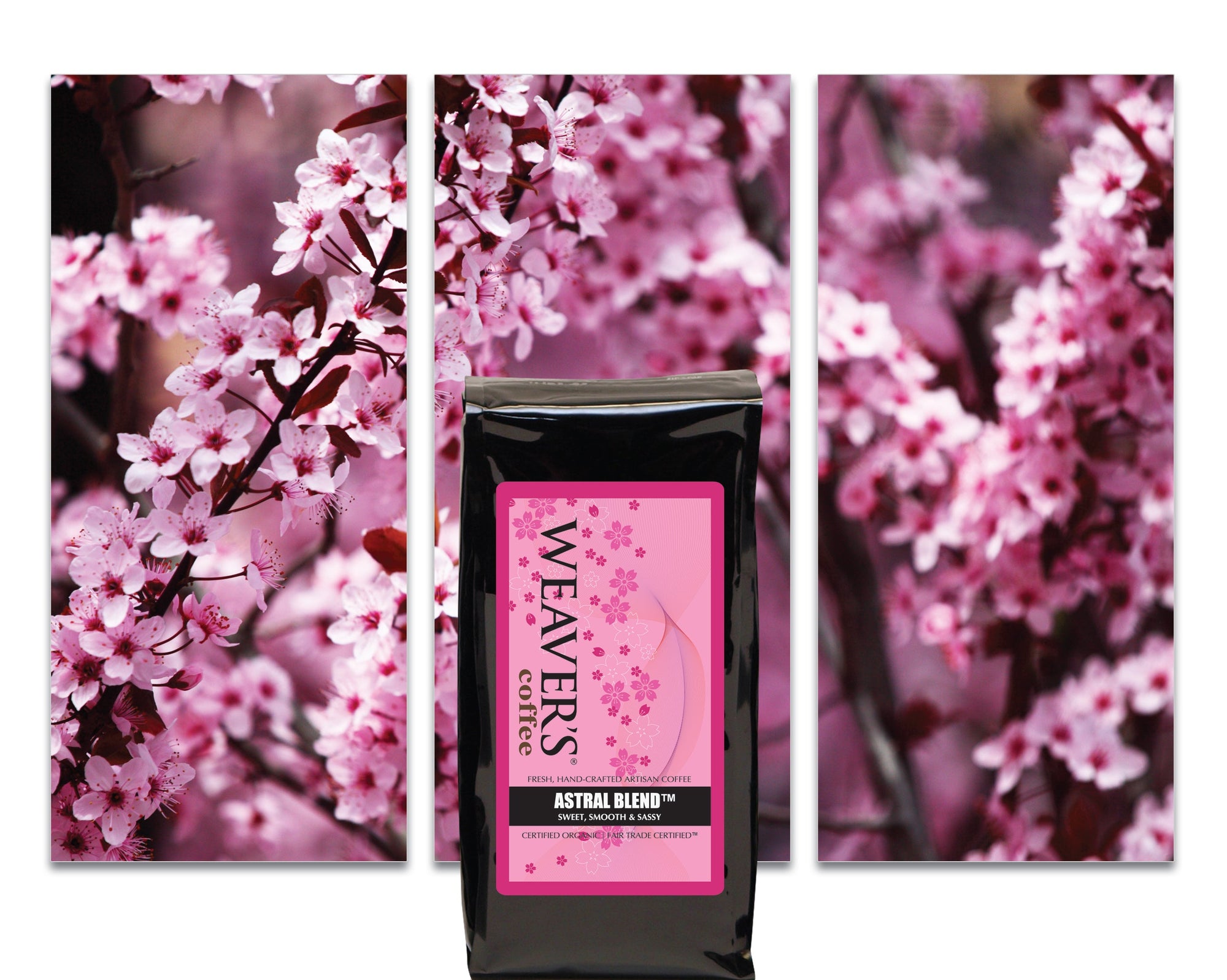 Artisan Coffee for a Cause