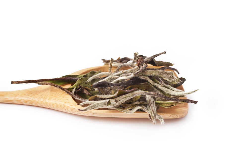 White Tea