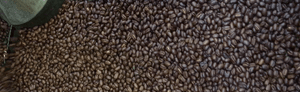 Kenya Coffee Peaberry