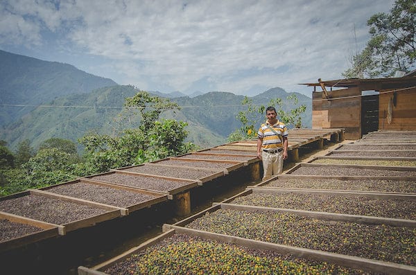 weaverscoffee.com Guatemala Antigua Coffee