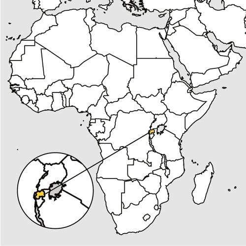 weaverscoffee.com Rwanda Coffee 