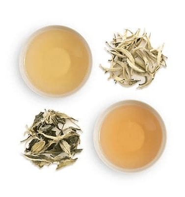 weaverscoffee.com White Tea - Bai Mu Dan