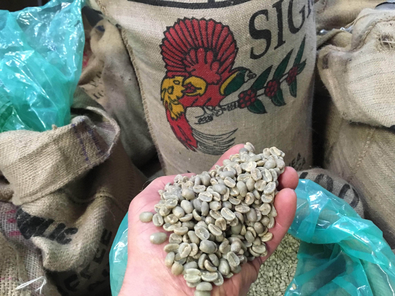 weaverscoffee.com Papua New Guinea Coffee