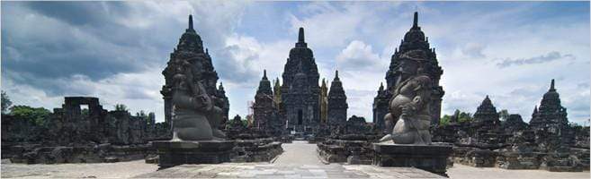 weaverscoffee.com Aged Mocha Java Coffee