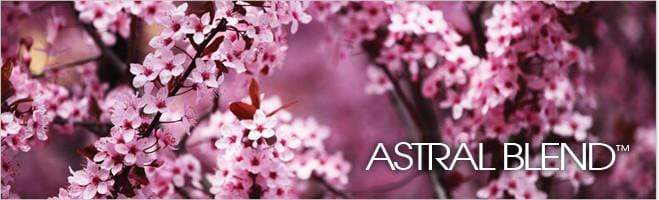 weaverscoffee.com Astral Blend Coffee