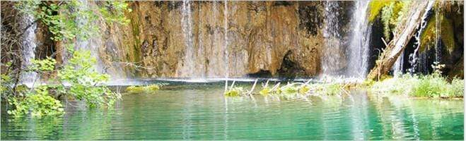 weaverscoffee.com Decaf Coffee Original  Blend