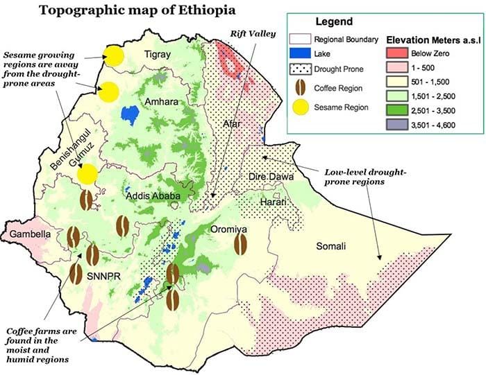 weaverscoffee.com Ethiopian Coffee