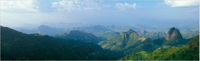 weaverscoffee.com Ethiopian Coffee