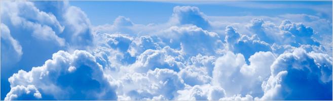 weaverscoffee.com Jamaica Blue Mountain Coffee - Reserve Coffee