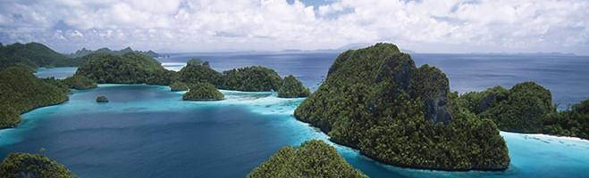 weaverscoffee.com Papua New Guinea Peaberry Coffee 